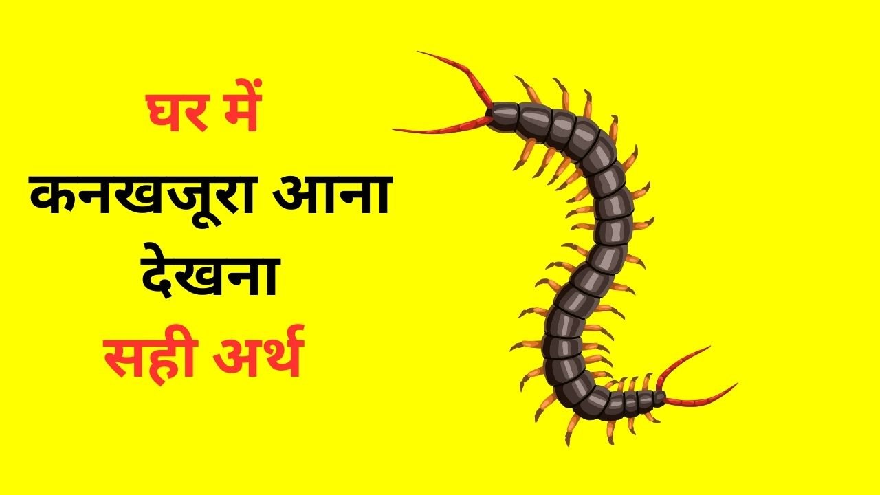 घर में कनखजूरा